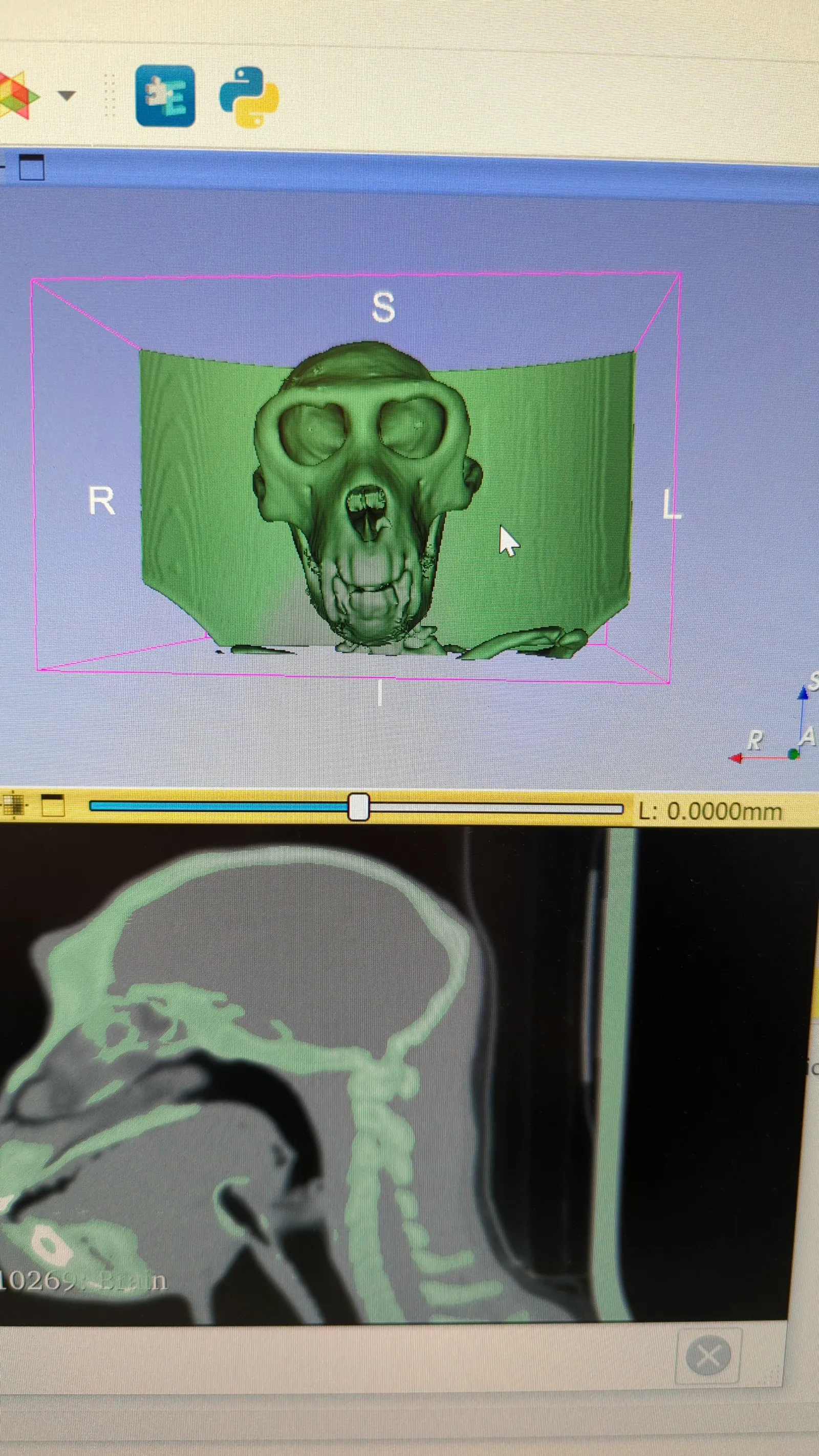 Riset Tenri seputar pemrosesan bentuk visual (visual cortex) pada otak.