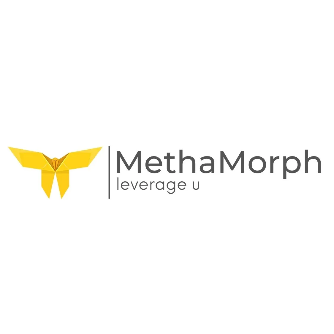 MethaMorph
