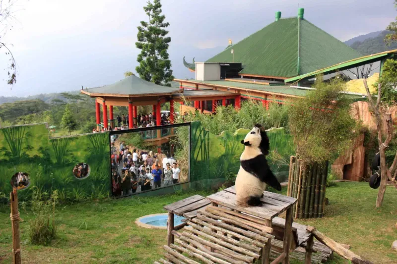 Taman Safari Indonesia