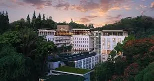 Tentang Padma Hotels