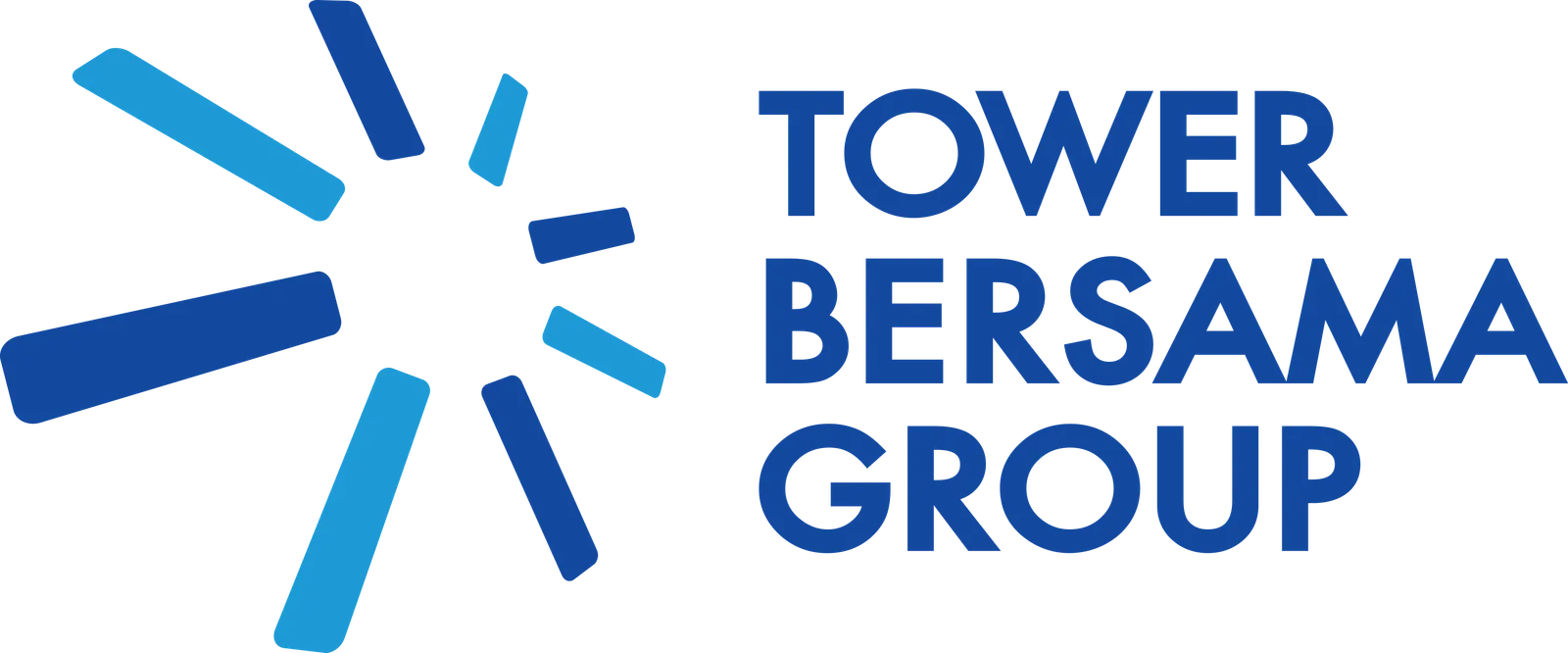 TBIG AI logo