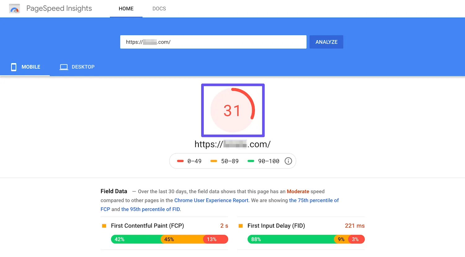 Google PageSpeed Insights/ sumber: Kinsta