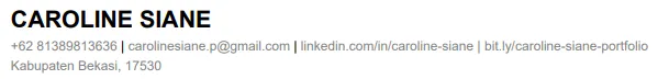 Contoh CV Digital Marketing Profil dan Kontak